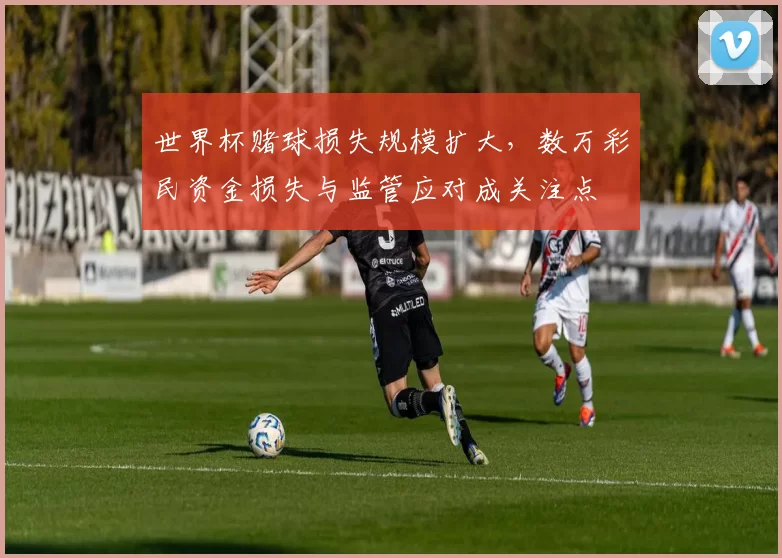 世界杯赌球损失规模扩大，数万彩民资金损失与监管应对成关注点
